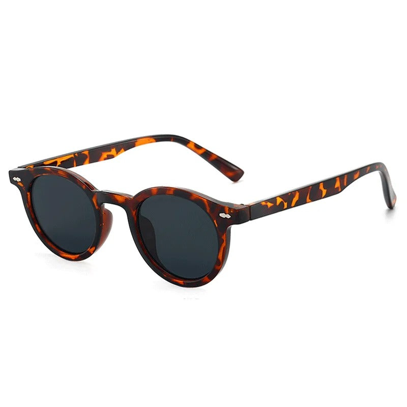 Gafas de Sol Expedition